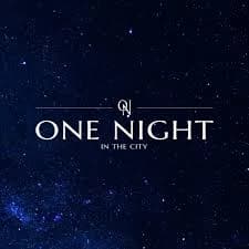 Logo One Night in the City
